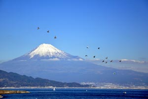 元旦の富士山