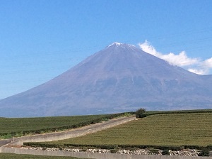 Enjoy the blessings of Mt. Fuji